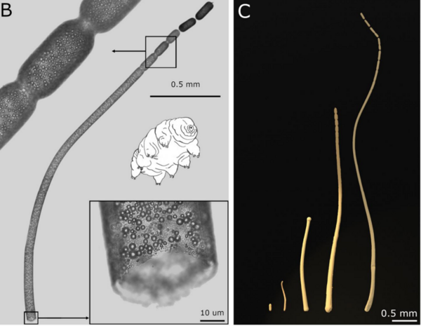 1660108537115797.png 圖片2.png