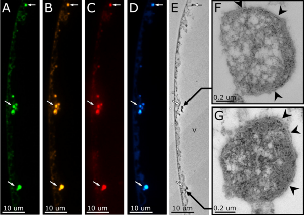 1660108552340500.png 圖片3.png