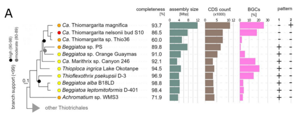 1660108570168279.png 圖片4.png