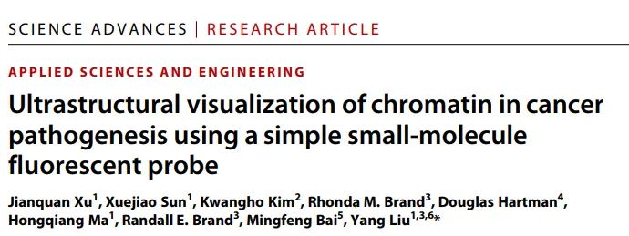 1665719256167485.jpeg 1665719256167485.jpeg