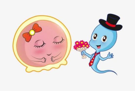 1665986166684686.jpg 1665986166684686.jpg