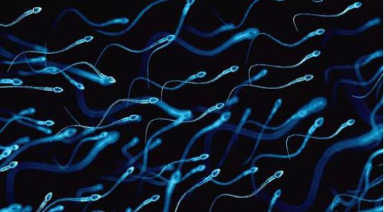 1665986198935332.jpg 2.jpg