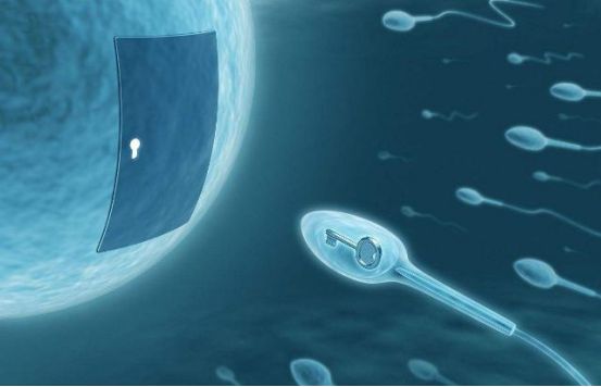 1665986414583070.jpg 7.jpg