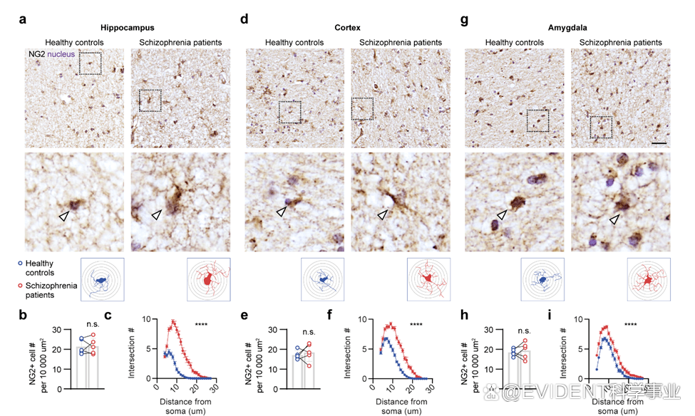 1666147972154198.png 1666147972154198.png