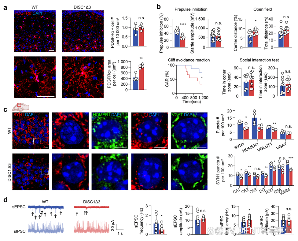 1666148033104890.png 1666148033104890.png