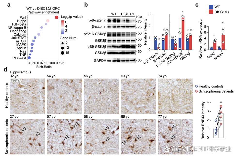 1666148067146425.png 1666148067146425.png