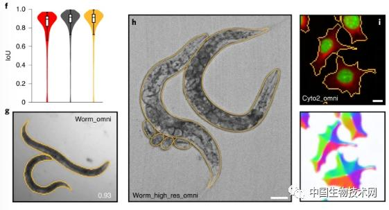 1667201806332714.png 1667201806332714.png