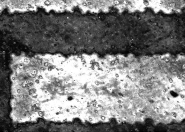 1667279981819755.png 1667279981819755.png