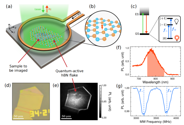 1667970879205052.png 1667970879205052.png