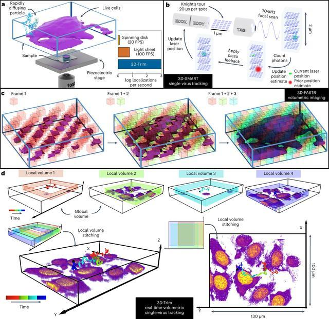 1668582212217508.png 1668582212217508.png