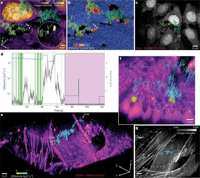 1668582243104444.png 1668582243104444.png