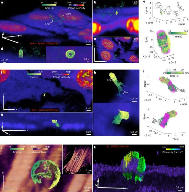 1668582270161078.png 1668582270161078.png