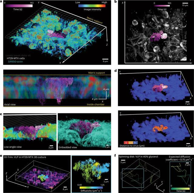 1668582287205722.png 1668582287205722.png