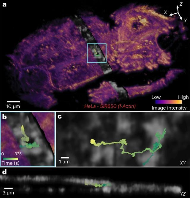 1668582299199277.png 1668582299199277.png