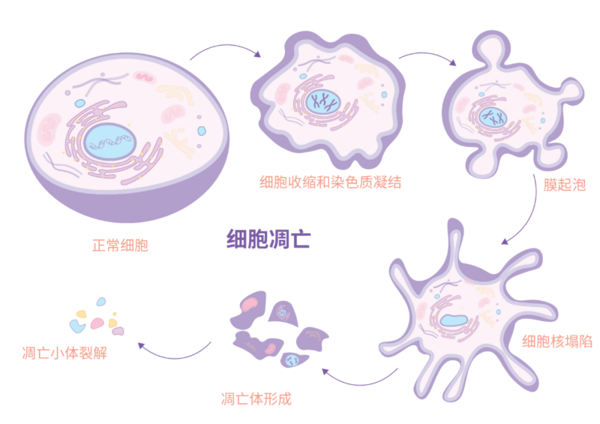 1669363587184847.png 2.png