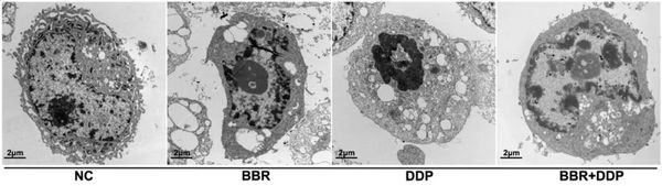 1669363613669894.png 3.png