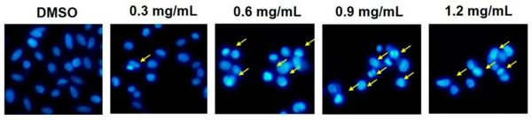 1669363630118921.png 4.png