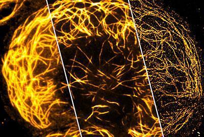 1672809601723683.jpg 下載.jpg