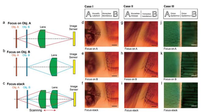 1675310059157024.jpg 1675310059157024.jpg