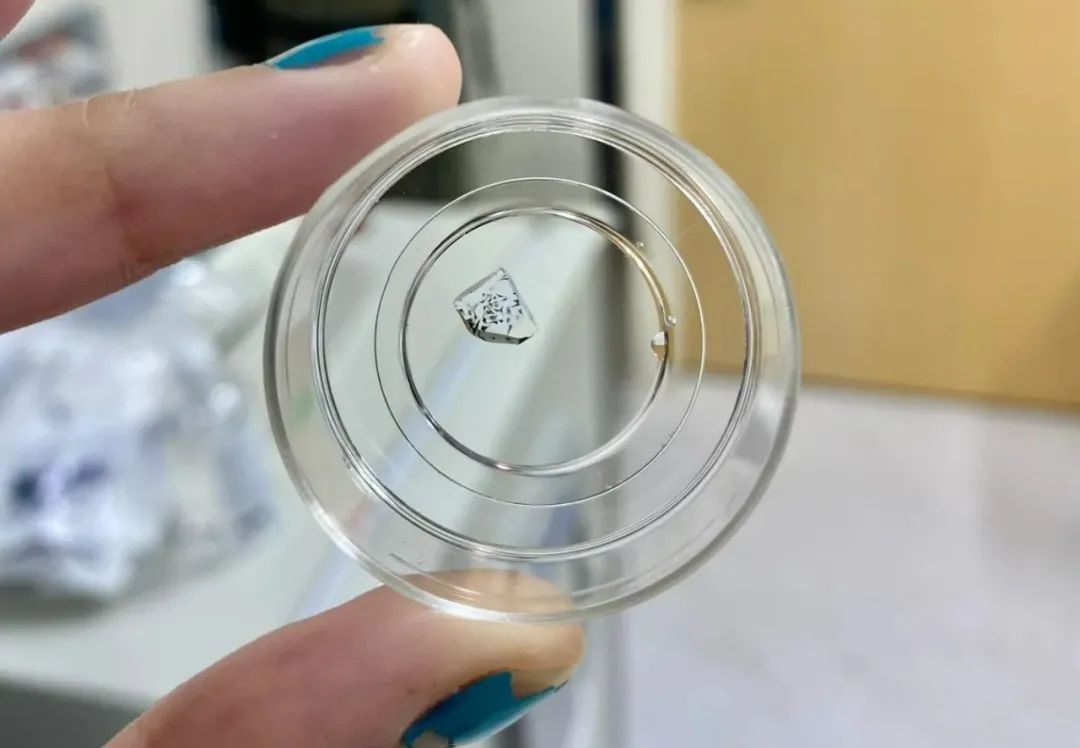 1675394865514922.jpg 1675394865514922.jpg