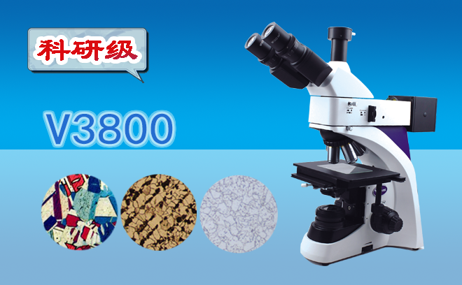 1675757662452221.png 1675757662452221.png