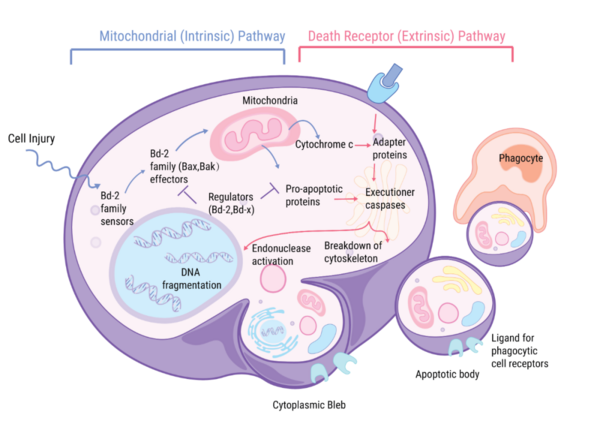 1675919931118047.png 1675919931118047.png