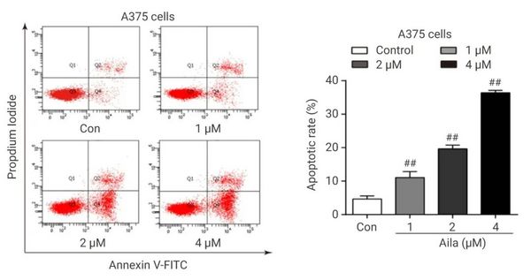 1675920206205662.jpg 1675920206205662.jpg