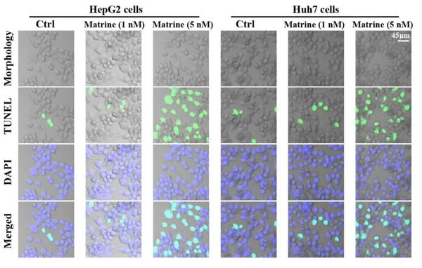 1675920283148444.jpg 9.jpg