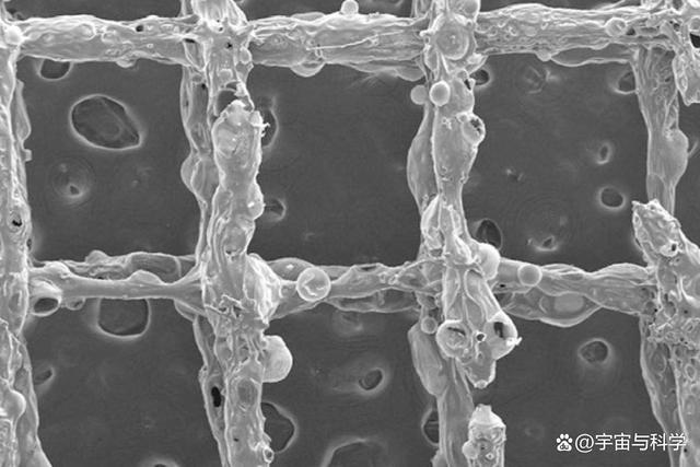 1678770744200991.png 1678770744200991.png