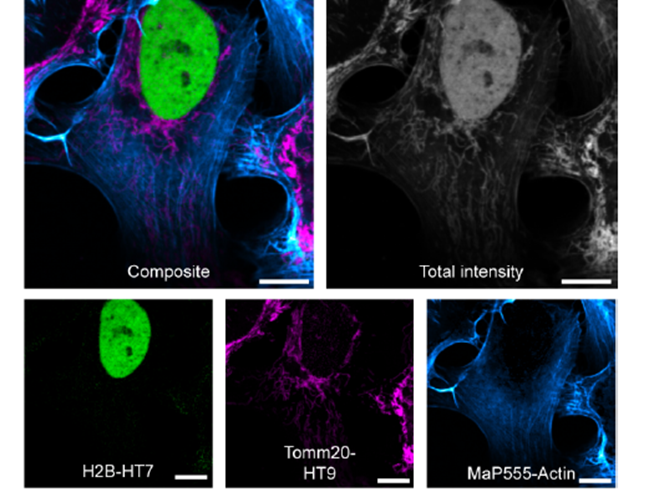 1681967616128196.png 1681967616128196.png