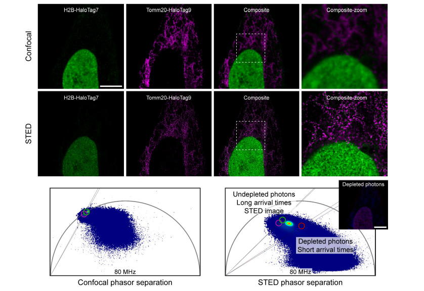 1681967655999155.png 1681967655999155.png