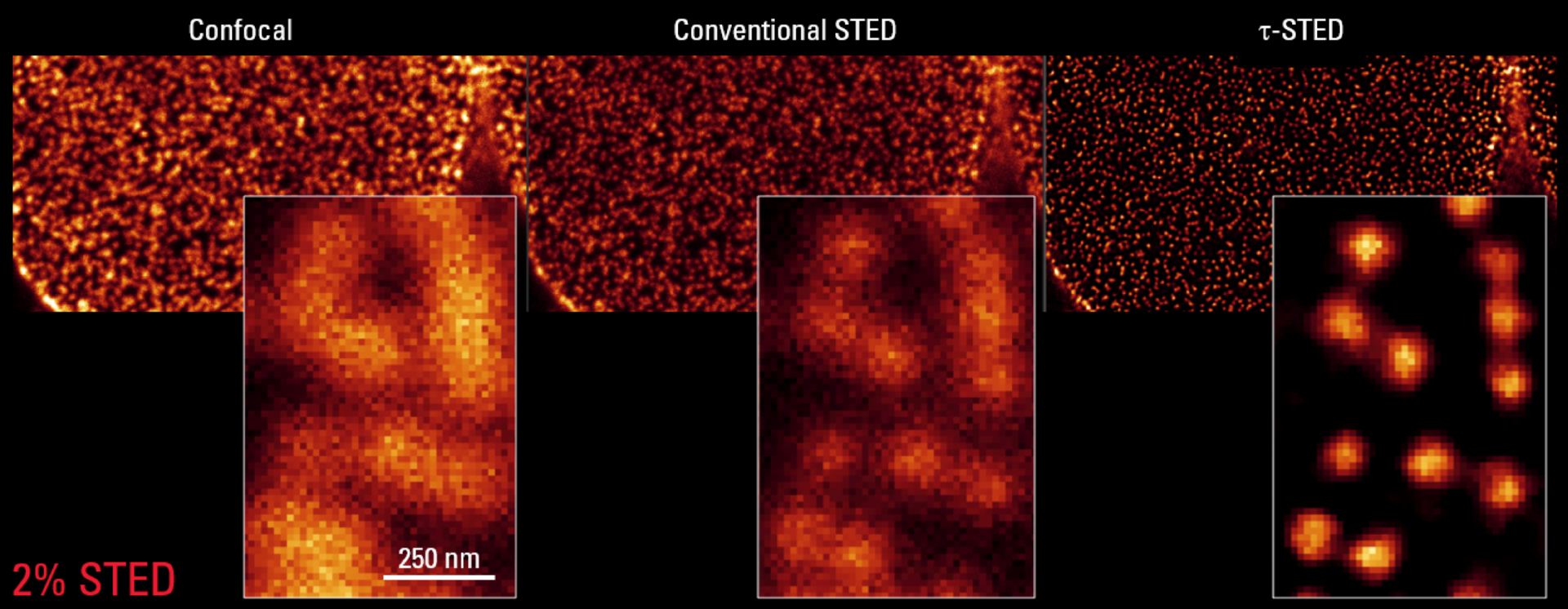 1681967699206031.png 1681967699206031.png