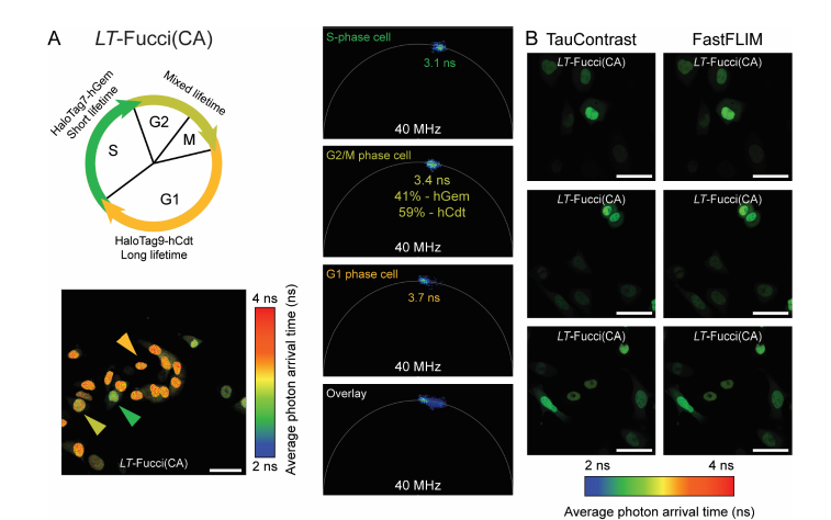 1681967757194581.png 圖片5.png