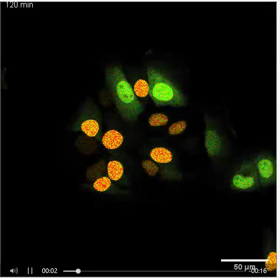 1681967789145930.png 1681967789145930.png