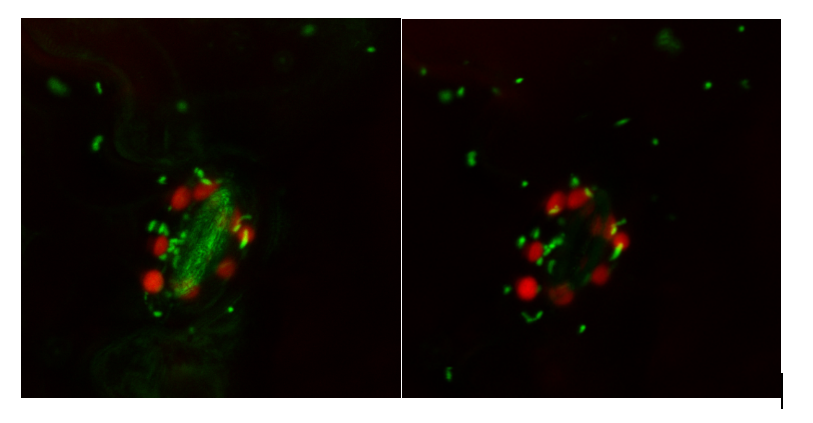 1681967812918567.png 1681967812918567.png