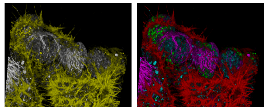 1681967886136306.png 1681967886136306.png