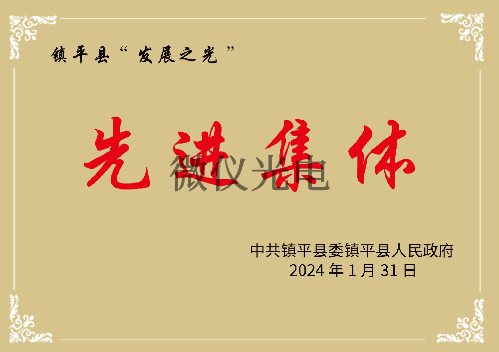 鎮平縣“發展之光”先進集體