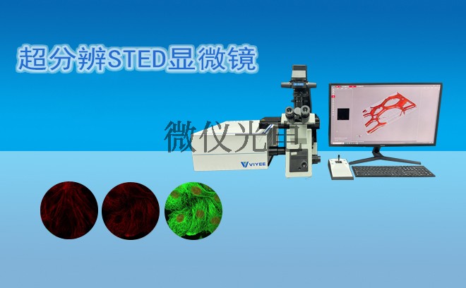 超分辨STED顯微鏡.jpg